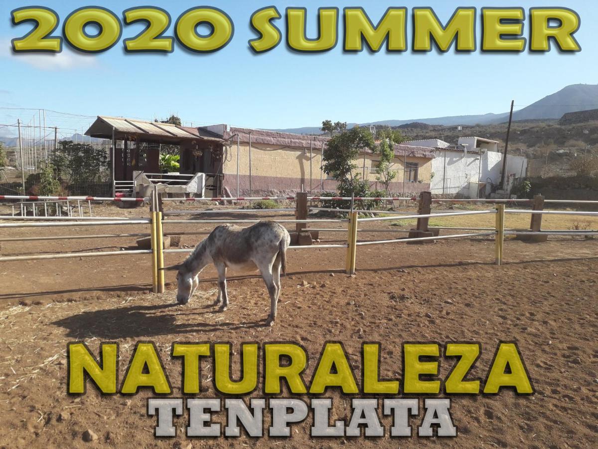 Tijoco de Abajo Tenplata מראה חיצוני תמונה